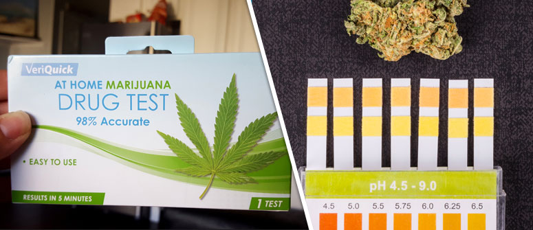 HOME DRUG TESTS